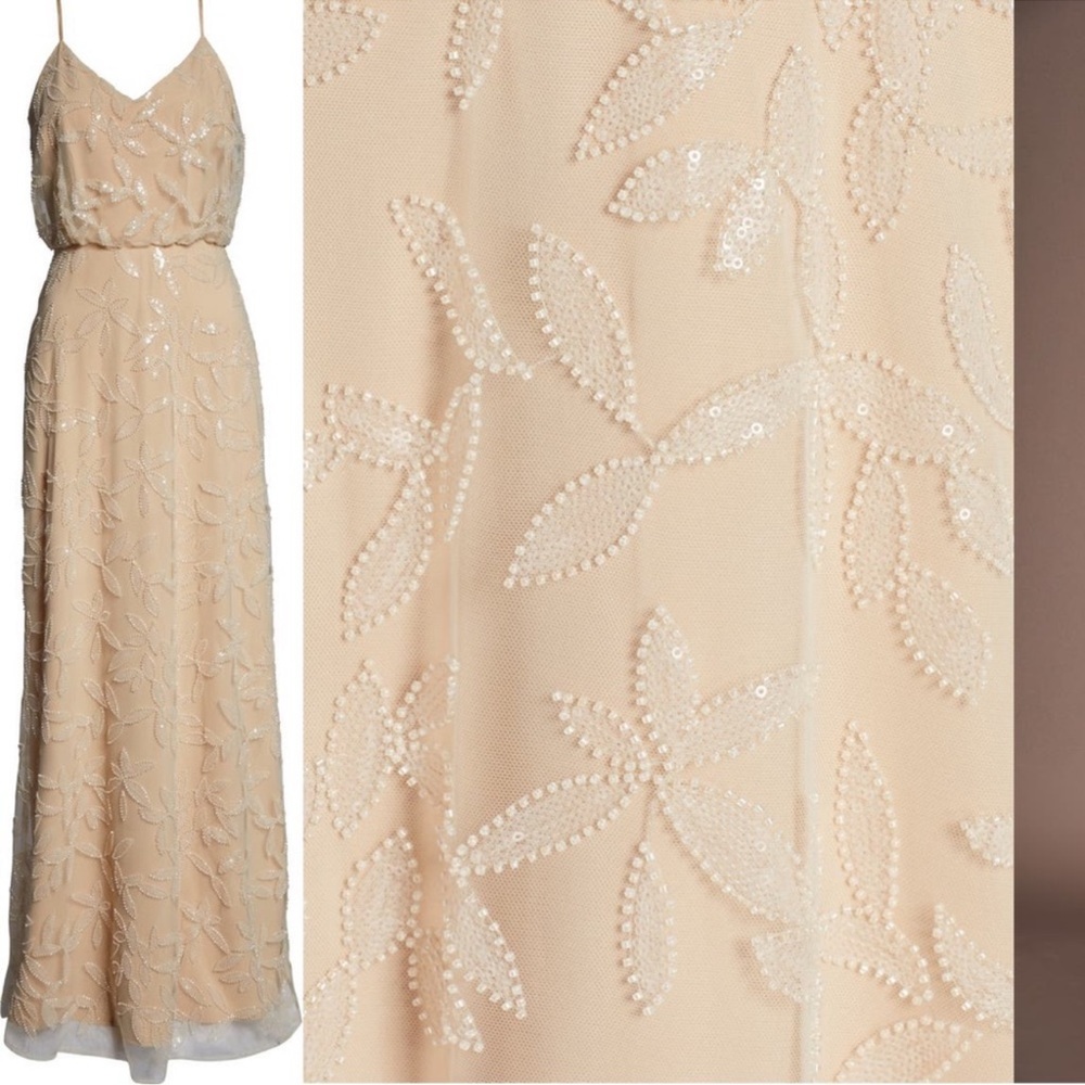 WAYF The Savannah Beaded Mesh Blouson Gown Pearl Petal Embroidery NWT Size XXS